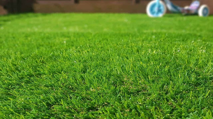 En este momento estás viendo Tipos de césped. Cuál poner en tu jardín según donde vivas